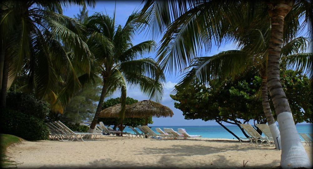 Caribbean Club Boutique Hotel, Grand Cayman Dog City Dış mekan fotoğraf