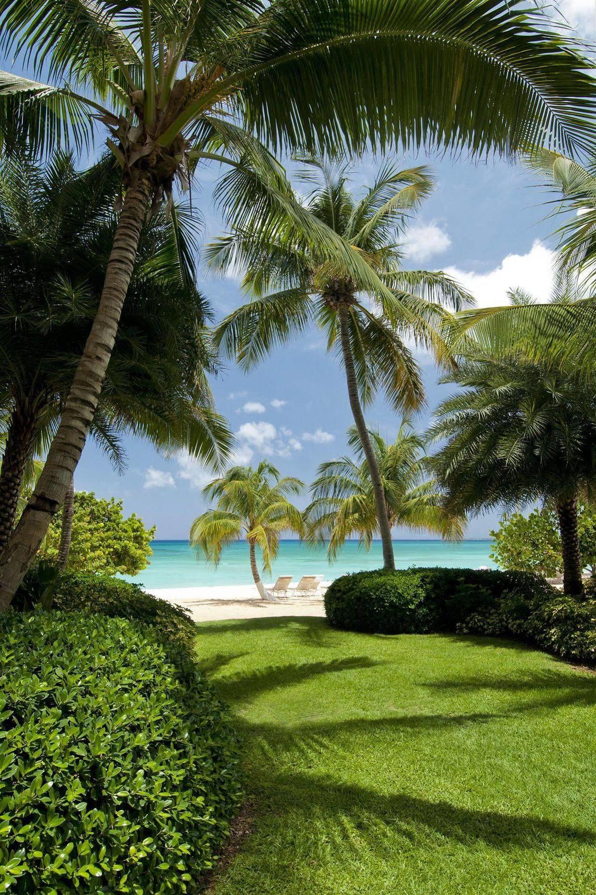 Caribbean Club Boutique Hotel, Grand Cayman Dog City Dış mekan fotoğraf